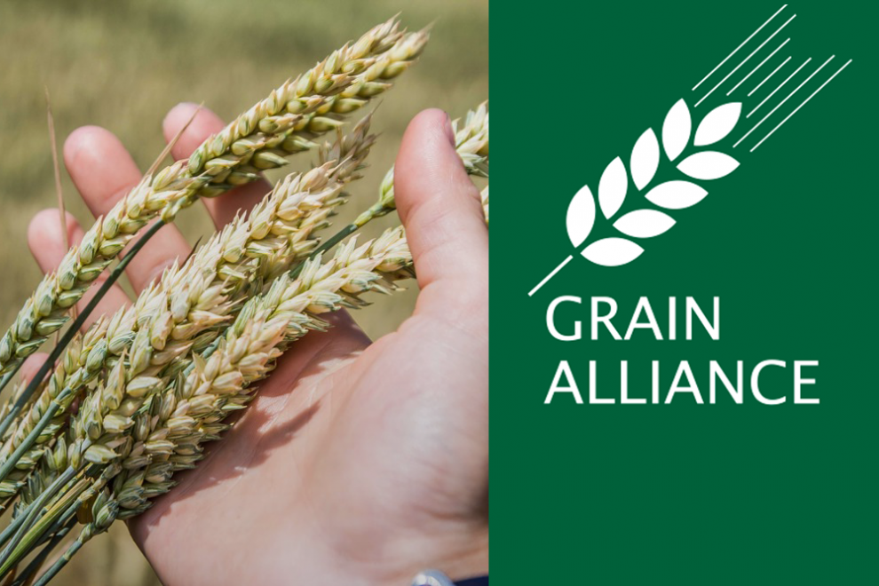 ЕБРР предоставляет кредит €10 млн на поддержку расширения группы «Grain Alliance»